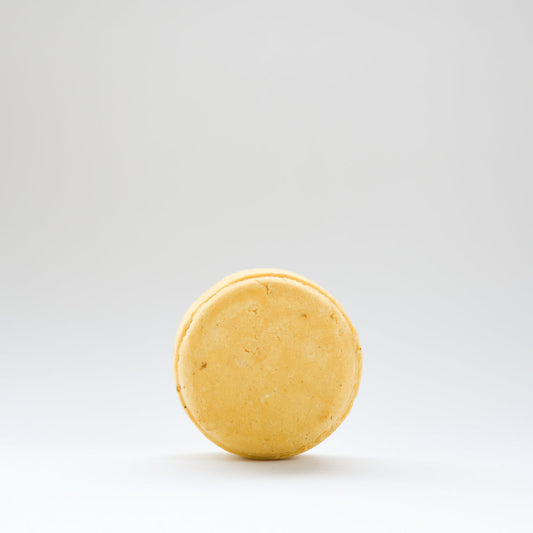 Champú Sólido Pomelo y Aloe para todo tipo de cabello