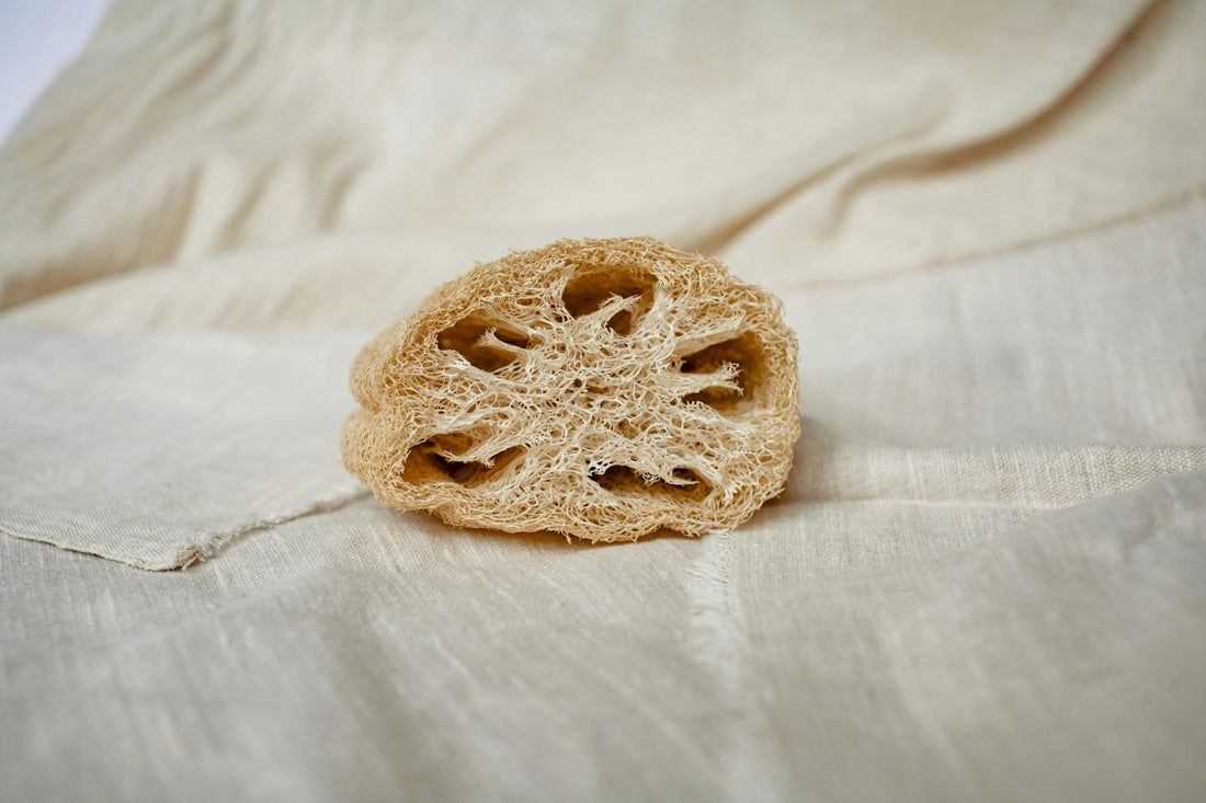 La Esponja Luffa: un tesoro natural para tu rutina de autocuidado sostenible